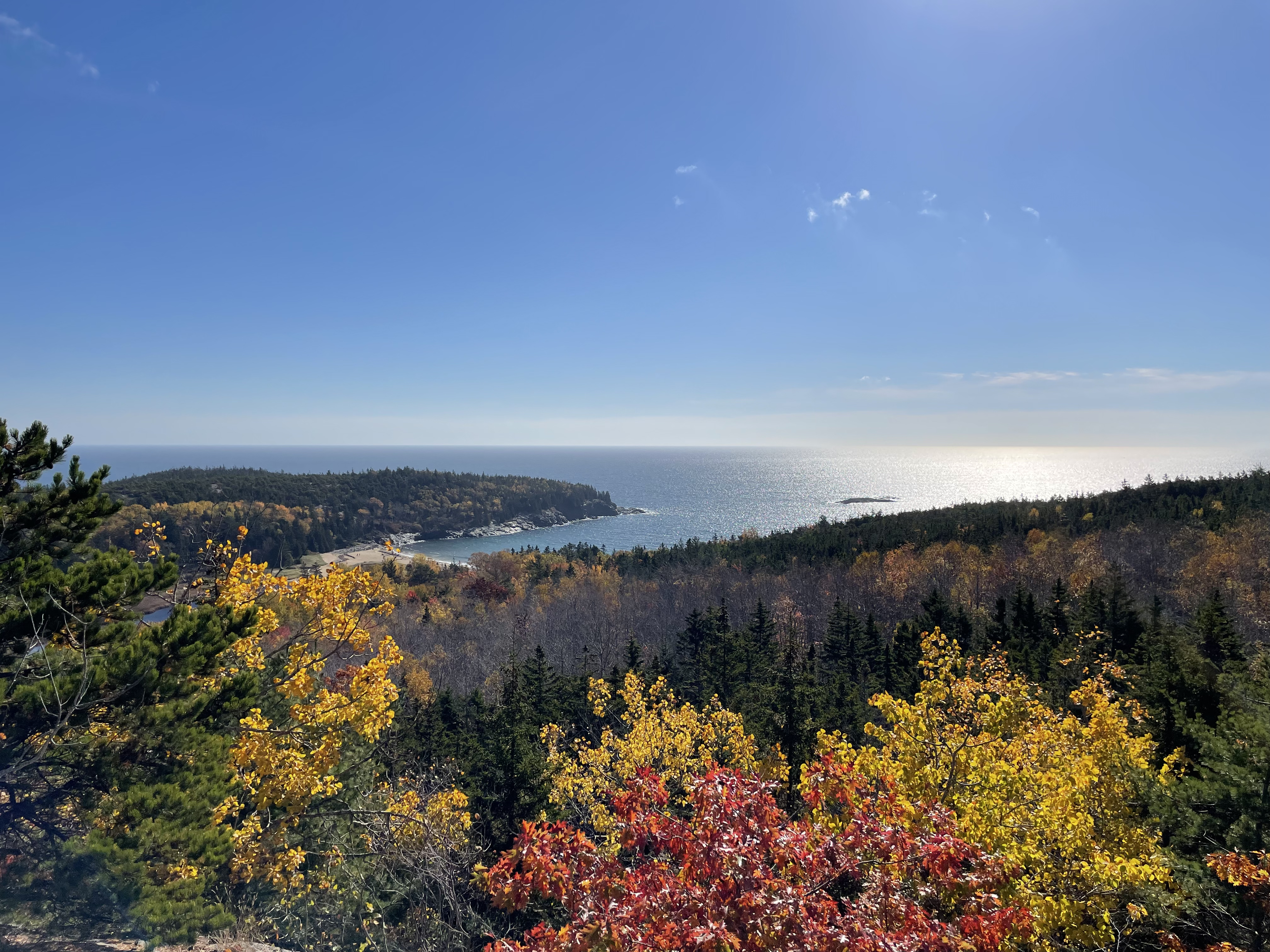 acadia.jpg