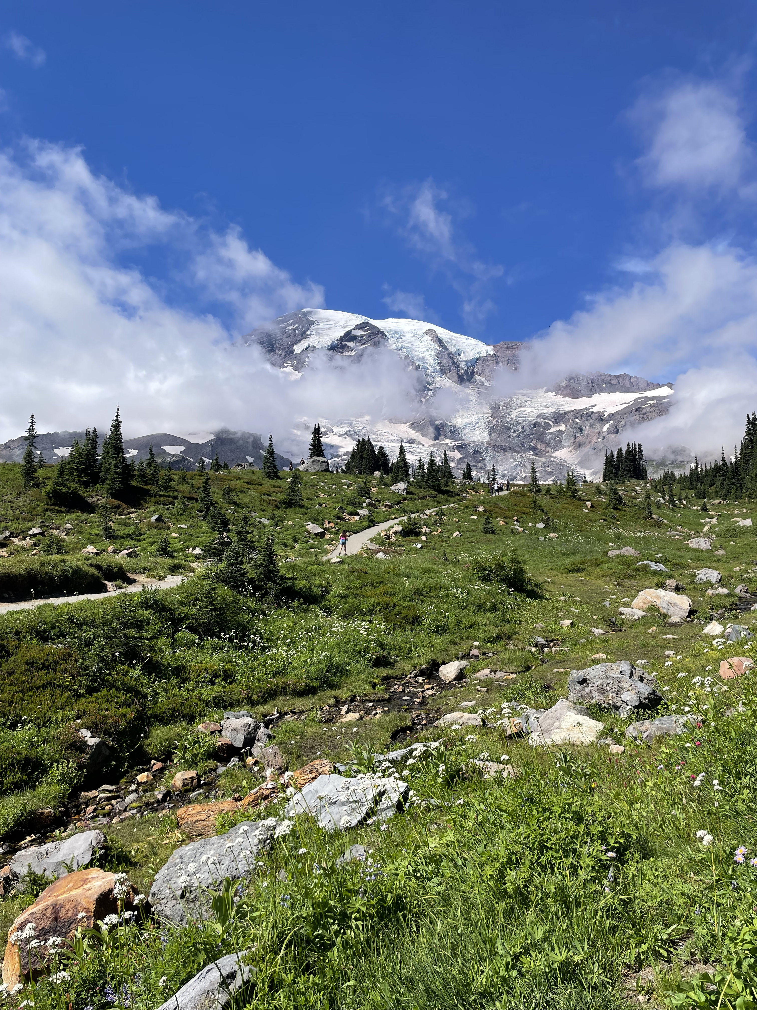 rainier2.jpg